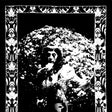 Black and white album cover with decorative border featuring a person holding flowers.