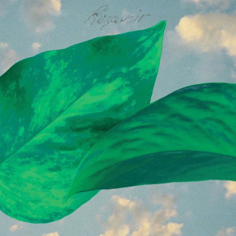 Close-up of green leaves against a cloudy sky