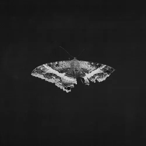 Kendrick Lamar - To Pimp A Butterfly (10 Year Anniversary