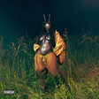 Person in a gold outfit with insect-like features standing in tall grass at night.