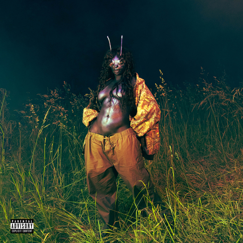 Person in a gold outfit with insect-like features standing in tall grass at night.