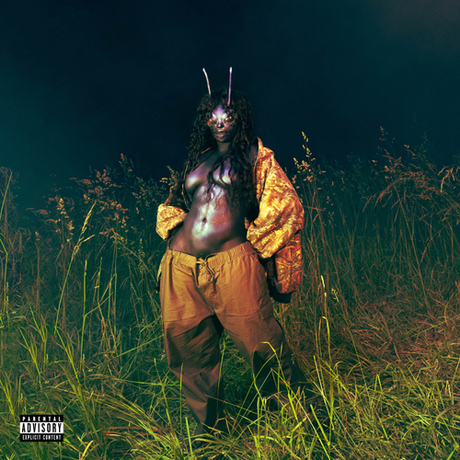 Person in a gold outfit with insect-like features standing in tall grass at night.