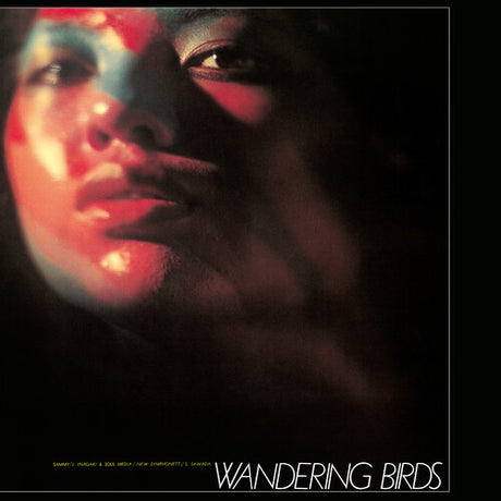 Album cover with a stylized face and 'Wandering Birds' text