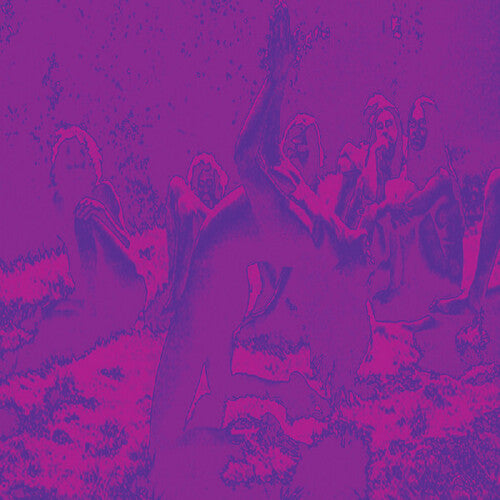 Bardo Pond / Acid Mothers Temple - Acid Guru Pond LP