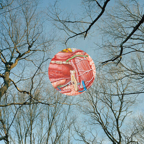 Anatomical diagram of a heart superimposed on a blue sky with bare tree branches.