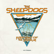 Album cover for 'The Sheepdogs' with a triangle design, waves, and a bird, on a light background.