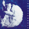 Album cover with a white cat on a blue background, featuring the text 'Chapterhouse'.