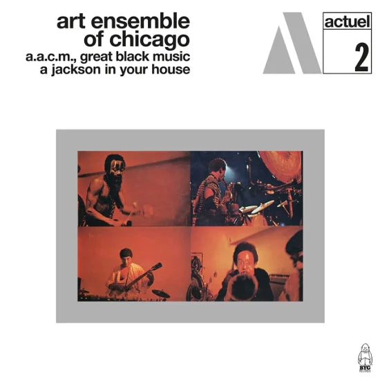Art Ensemble Of Chicago - A Jackson In You House LP