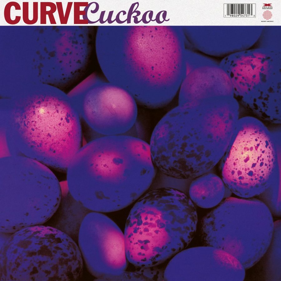 Album cover for 'Cuckoo' by Curve, featuring a close-up of speckled eggs illuminated in glowing pink and purple hues under a white header with the band name in red and purple text.