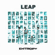 Album cover with 'LEAP' and 'Entropy' text, featuring a grid of small images and people in a room.