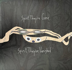 Animal Collective - Spirit They're Gone Spirit They've Vanished 2LP (Green Vinyl)
