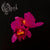 Opeth - Orchid 2LP (Gold Vinyl)