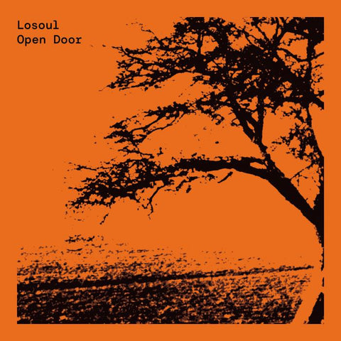 Losoul - Open Door (Expanded) 2LP