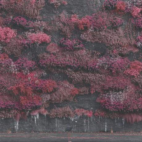 Aerial view of a forest with pinkish-red foliage and a person standing at the bottom.
