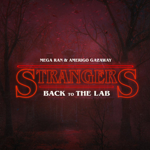 Mega Ran & Amerigo Gazaway - Strangers LP