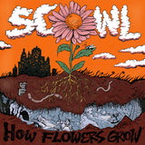Illustration of a flower with roots underground and cityscape above, featuring the text 'How Flowers Grow'.