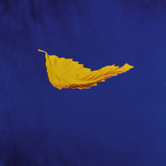 New Order - True Faith EP (2023 Remaster)