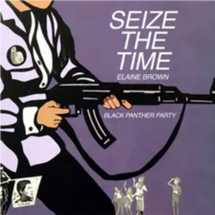 Elaine Brown - Seize The Time - Black Panther Party LP (Marble Vinyl)