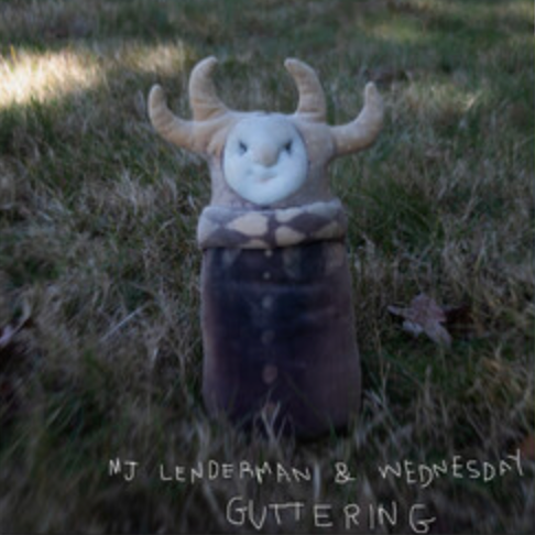 MJ Lenderman / Wednesday - Guttering Green LP