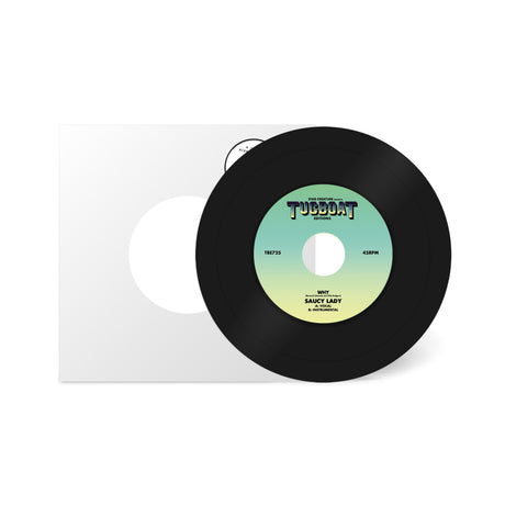Vinyl record with a gradient label on a white background