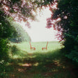 Two wooden chairs on a grassy field with trees casting shadows