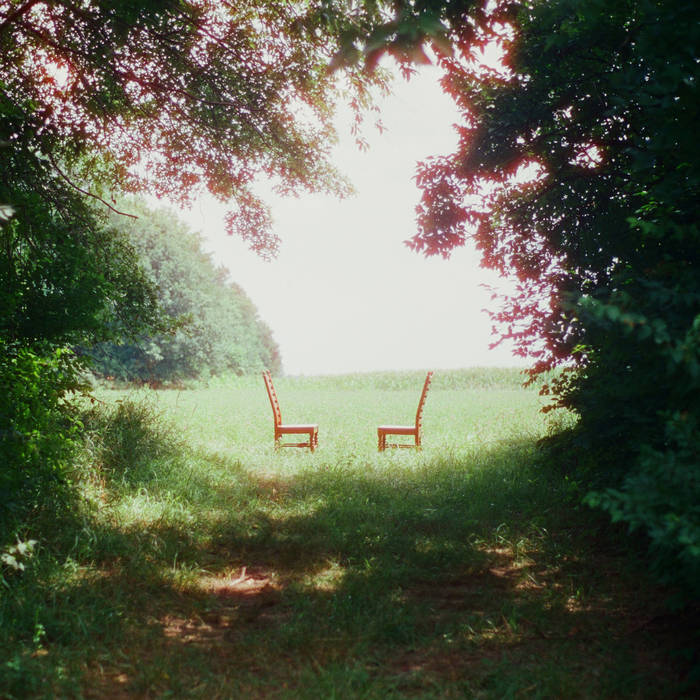 Two wooden chairs on a grassy field with trees casting shadows