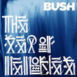 Album cover with stylized text and 'BUSH' branding on a blue background