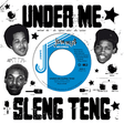 A square graphic design featuring the text 'UNDER ME' at the top and 'SLENG TENG' at the bottom, with a blue-and-white vinyl record in the center and four black-and-white portrait photos around it on a light gray background.