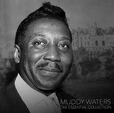Black and white portrait of a famous musician with a blurred background, featuring the text 'Muddy Waters The Essential Collection'.