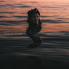 Album cover with a person submerged in water at sunset, featuring the text 'Final Gasp' and 'New Day Symptoms'.