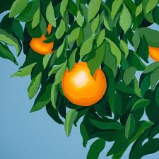Illustration of oranges hanging from a tree with green leaves on a blue background