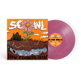 Vinyl record with a colorful cover featuring a flower and text on an orange background.