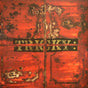 Record cover art for Tricky's 'Maxinquaye' album, featuring a close-up of a distressed, rusty metal surface with the artist's name in a bold, gritty font.