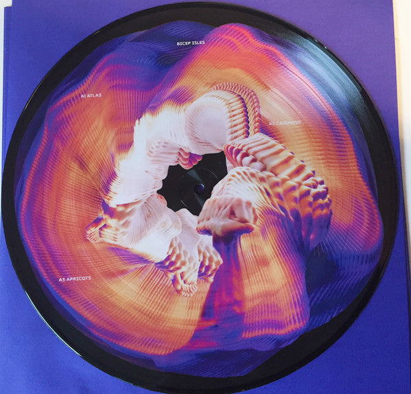Bicep - Isles 2LP Picture Disc