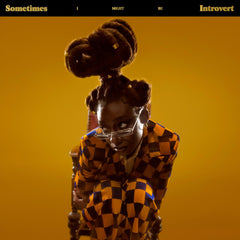 Little Simz – Sometimes I Might Be Introvert CD