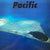 Haruomi Hosono, Shigeru Suzuki, Tatsuro Yamashita – Pacific LP