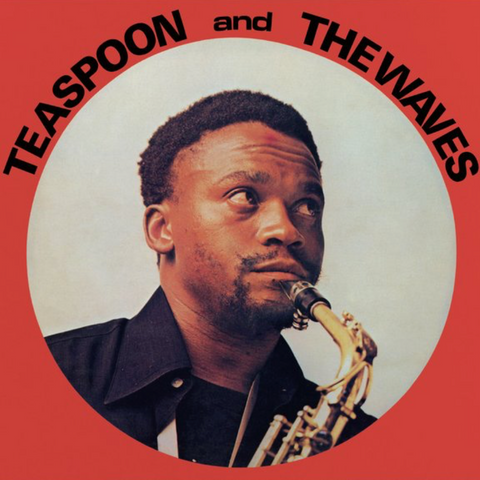 Teaspooon And The Waves - Teaspoon And The Waves LP