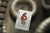 Dune Premium Playing Cards