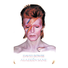 David Bowie Aladdin Poster
