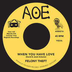 Felony Theft - When You Have Love 7-Inch